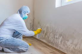 Best Industrial Mold Remediation in New Paris, IN