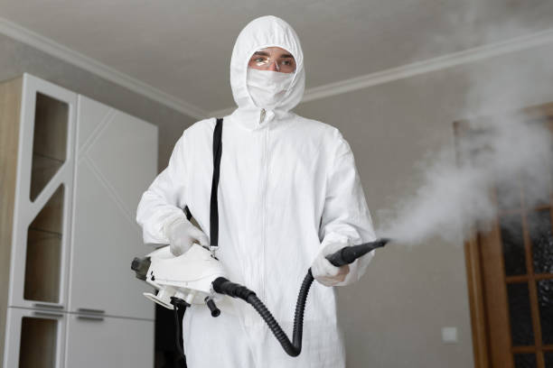 Best Mold Odor Removal Services in New Paris, IN